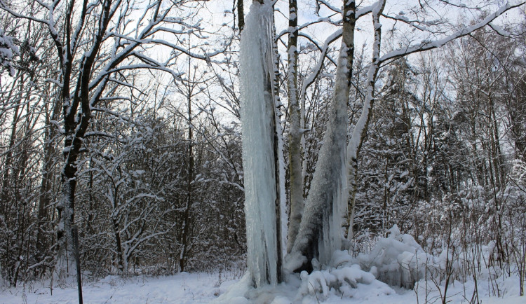 Mráz opět čaruje. Lovětínský ledopád se probouzí k životu