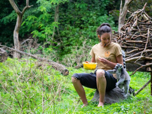 Komentované krmení