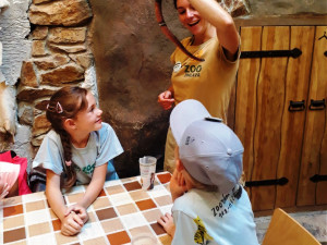 Letní dětský tábor