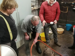 Během domácí zabijačky vznikla rekordně dlouhá jitrnice. Měřila skoro 12 metrů