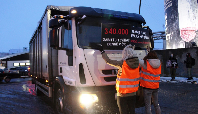 U kosteleckých jatek bylo živo, aktivisté se loučili se zvířaty. Oceňujeme klidný průběh akce, zní z vedení firmy