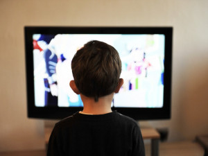 Sledovanost televizí byla loni nejvyšší za 24 let měření