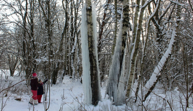 Tento týden pozor na silné mrazy, může být až 20 pod nulou. Omezte pohyb venku a vrstvěte oblečení, radí meteorologové