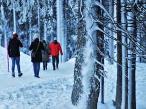 POČASÍ NA STŘEDU: Pozor na ledovku. Oteplí se až na plus osm stupňů