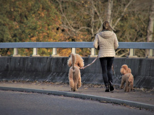 POČASÍ NA PONDĚLÍ: Dnes nás čeká proměnlivá oblačnost i rozdílné teploty