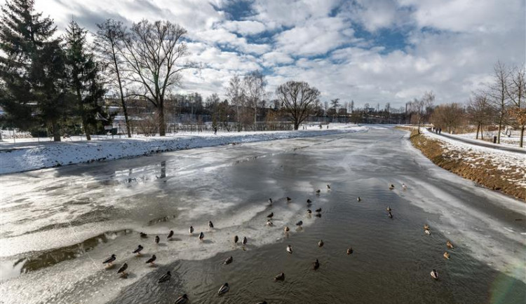 Od pondělí Jihlava začne stavět pumptrack. S dětským okruhem třeba pro odrážedla