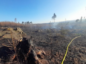 Na Špičáku hoří les. K 10 hasičským jednotkám se připojila i letecká technika