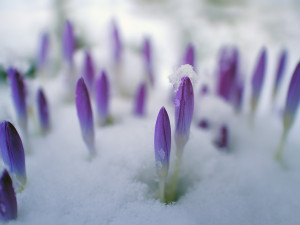 POČASÍ NA ČTVRTEK: Sem tam opět sněžení. Teploty mezi 2 až 5 °C