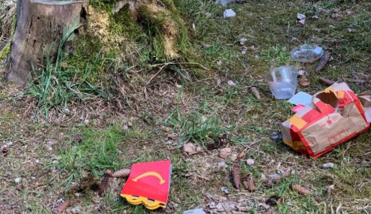 Nejsem prase: Iniciativa vyzývá o víkendu k úklidu. Uklízet se bude i v hradeckých lesích