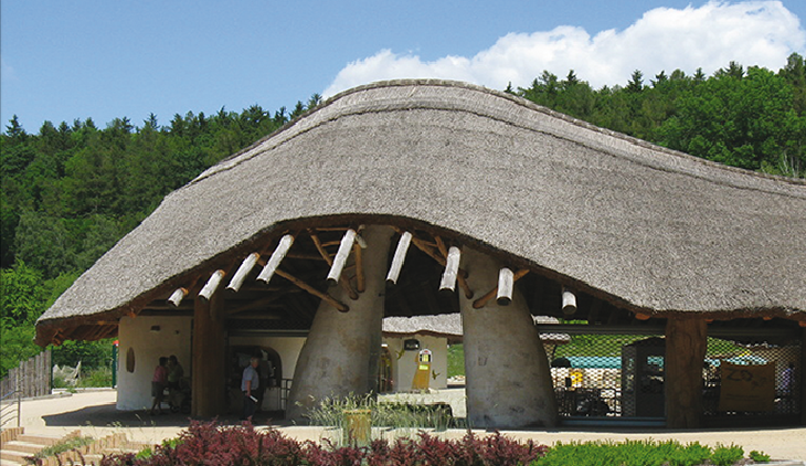 Koncert Hrajeme pro 20 ZOO vnímáme jako možnost poděkovat i poprosit o pomoc, říká gestorka