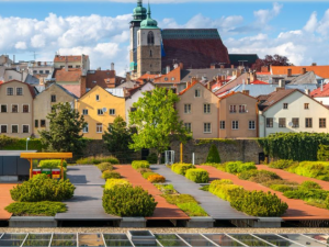 Jihlavský Citypark se účastní soutěže Zelená střecha roku. Můžete ho podpořit svým hlasem