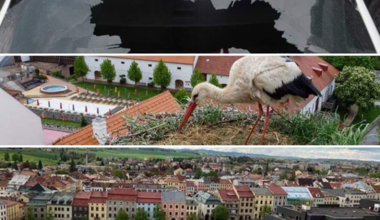 KVĚTEN 2021: Zámek prohozený oknem auta, příběh čapí rodiny nebo otevřená vyhlídka sv. Jakuba