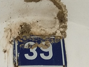 Místo po stržených hnízdech jiřiček