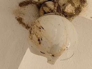 Místo po stržených hnízdech jiřiček