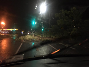 Vysočinu zasáhly silné bouřky, kvůli popadaným stromům není průjezdná dálnice ani další vozovky