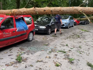 Ráno už nevyjeli. Popadané stromy a větve poničily na dvacet aut v ulici Na Kopci