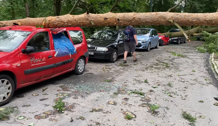 Popadané stromy a větve poničily na dvacet aut v ulici Na Kopci
