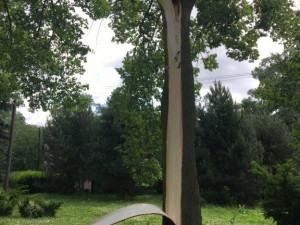 Úterní bouřka si v Jihlavě vyžádá mimořádné náklady na úklid a opravy. Radní Beke doporučuje připojistit levnější auta