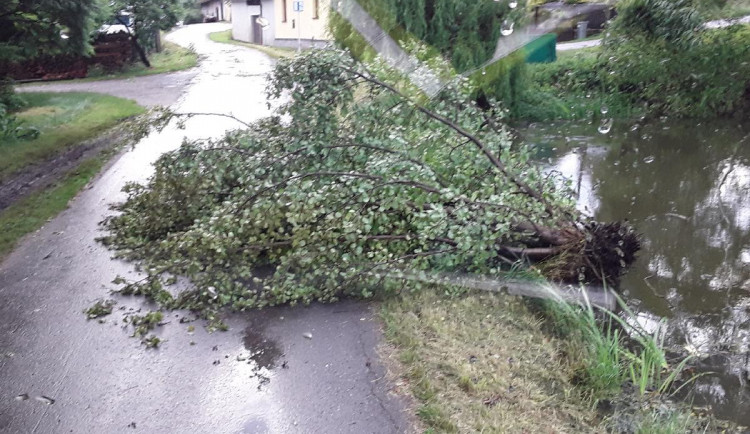 Stromy na autech, evakuace dětského tábora. Hasiči mají po bouřce za sebou další náročnou službu