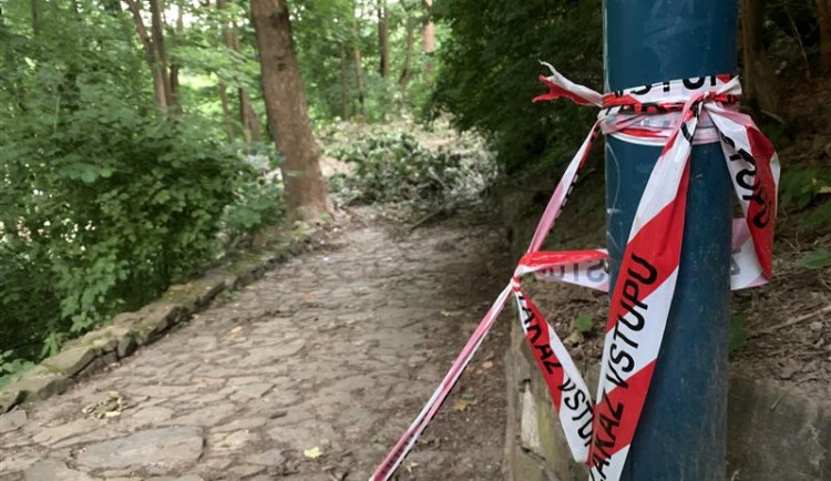 Úklid po nedávné bouři zabere ještě minimálně měsíc