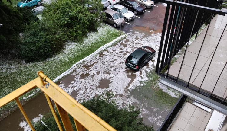 Hasiči na Vysočině po deštích odstraňovali popadané stromy a odčerpávali vodu