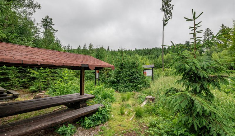 Mýty a fakta okolo zamýšleného hornického skanzenu na Šacberku. Přírodu nezdevastuje, cesty neuzavře