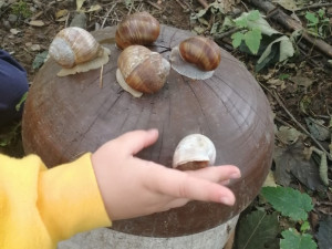 Tip na výlet. Malé i velké houby v obci Kněževes, děti potěší hřiště i stezka s úkoly, Zdroj: https://www.malivyletnici.cz