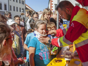 Den záchranářů ve Velkém Meziříčí: Lidé viděli nehodu motorkáře, který vyrazil v džínách a tričku