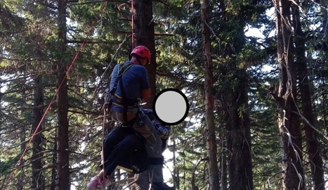 Horští záchranáři pomáhali paraglidistce v Krkonoších, spadla do korun stromů