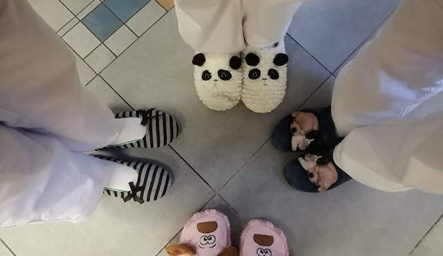 Provedli nás životem, buďme s nimi, když ten jejich končí. Tak zní motto letošního Papučového dne