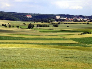 Pohled z rozhledny směr Náměšť nad Oslavou