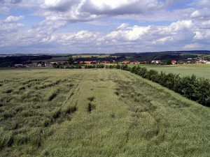 Pohled z rozhledny směr Ocmanice