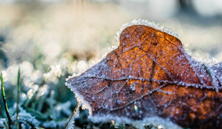 Doba přízemních mrazíků je tady. V pátek a sobotu na Vysočině padlo osm rekordů