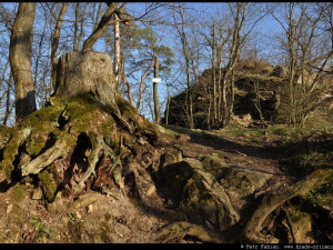 Tip na výlet: Zřícenina hradu Kokštejn, Místo s krásným výhledem a ztracenou historií