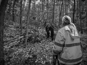 Do lesa ji přivedla láska ke koním a přírodě. Koňáků stahujících dřevo ale ubývá, říká Veronika Králová