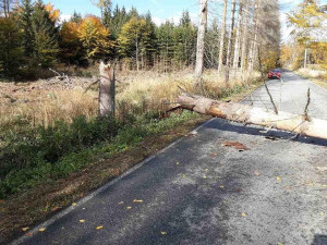 Vítr trápí Vysočinu i nadále. Domácnosti jsou bez proudu, problémy jsou i na železnici