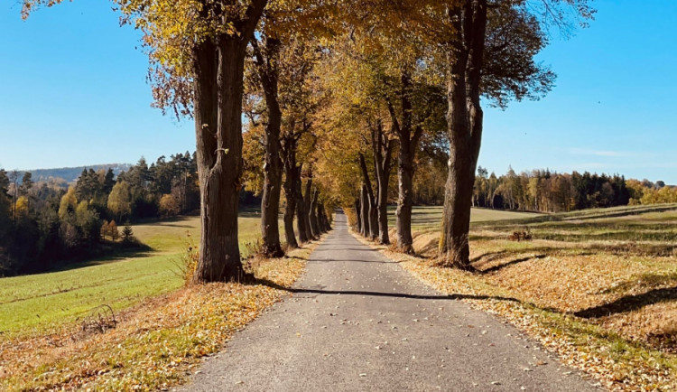 Nominace na Alej roku 2021 vrcholí. Vysočina je zatím zastoupená osmkrát