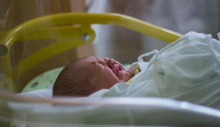Jihlavská porodnice povolí otce u porodu i návštěvy na pokoji pouze za jistých podmínek