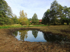 Více vody v krajině. Na Vysočině vznikly díky ochráncům nové tůně