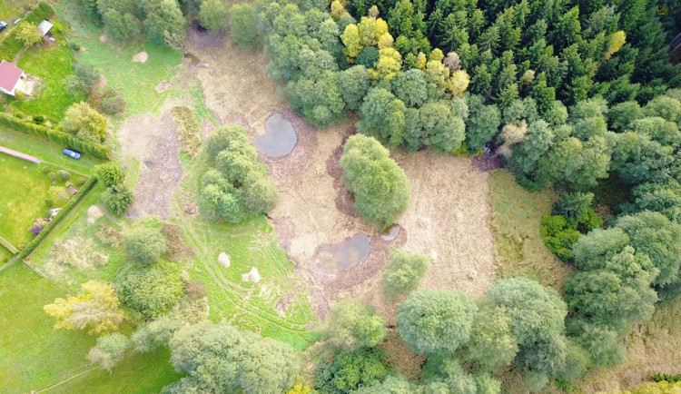 Více vody v krajině. Na Vysočině vznikly díky ochráncům nové tůně