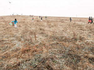 Novou alej v Jihlavě symbolicky otevřelo pouštění draků. Podívejte se, jak to desítkám rodin létalo