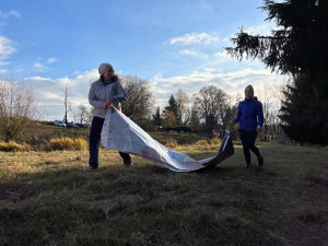 Dobrovolníci pomáhali obojživelníkům. Hosovský rybníček vyčistili od rákosí