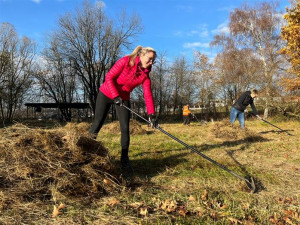 Dobrovolníci pomáhali obojživelníkům. Hosovský rybníček vyčistili od rákosí