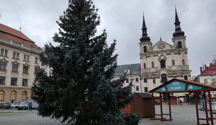 Jihlavské náměstí už zdobí vánoční strom. Stříbrný smrk věnoval soukromník z Bedřichova