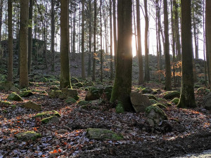 Tip na výlet: Čtrnáct zastavení, odpočinek u Formanské studánky. Projděte si Naučnou stezku Čeřínek