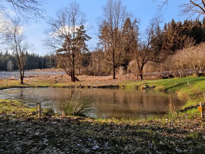 Tip na výlet: Čtrnáct zastavení, odpočinek u Formanské studánky. Projděte si Naučnou stezku Čeřínek