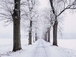 Meteorologové: Očekáváme další vydatné sněžení, k tomu bude foukat silný vítr