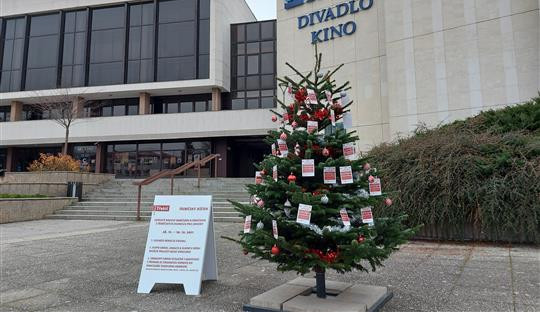 Na stromku v Třebíči visí vánoční přání osamělých seniorů. Splnit je může kdokoliv