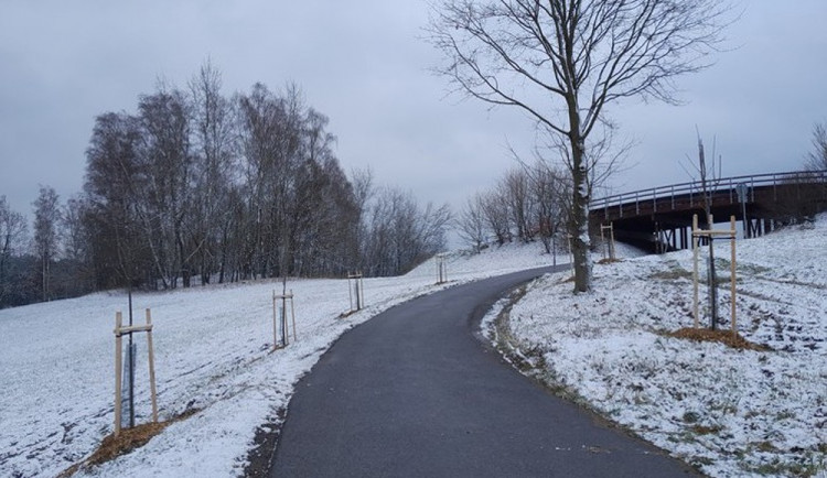 Liberec má nové aleje. Stromy vysadili na hřbitově i ve Vesci