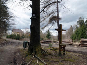 Tip na výlet: Vydejte se Stezkou k pramenům Počátek. Trasa nabídne odpočinek i kvalitní pitnou vodu